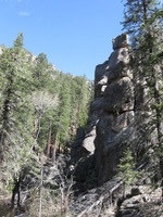 Canon PowerShot A590 IS, 2009:04:16 09:56:29 -- 1/200 sec, f/4.0.  No Flash, Compulsory.3264x2448 Off.