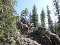 Canon PowerShot A590 IS, 2009:04:16 09:56:38 -- 1/200 sec, f/4.0.  No Flash, Compulsory.3264x2448 Off.