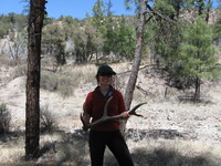 Canon PowerShot A590 IS, 2009:04:18 13:42:53 -- 1/400 sec, f/4.0.  No Flash, Auto.3264x2448 Red-Eye Reduction (Auto).