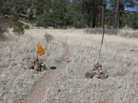 Canon PowerShot A590 IS, 2009:04:18 16:28:33 -- 1/1000 sec, f/4.5.  No Flash, Auto.3264x2448 Red-Eye Reduction (Auto).