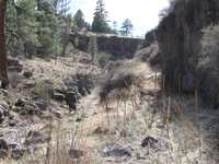 Canon PowerShot A590 IS, 2009:04:18 16:42:10 -- 1/320 sec, f/4.0.  No Flash, Auto.3264x2448 Red-Eye Reduction (Auto).