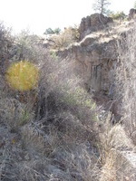 Canon PowerShot A590 IS, 2009:04:18 16:44:09 -- 1/100 sec, f/4.0.  No Flash, Auto.3264x2448 Red-Eye Reduction (Auto).