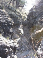 Canon PowerShot A590 IS, 2009:04:18 16:56:02 -- 1/60 sec, f/2.8.  No Flash, Auto.3264x2448 Red-Eye Reduction (Auto).