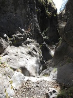 Canon PowerShot A590 IS, 2009:04:18 16:57:06 -- 1/200 sec, f/4.0.  No Flash, Auto.3264x2448 Red-Eye Reduction (Auto).