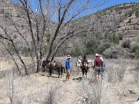 Canon PowerShot A590 IS, 2009:04:20 13:07:48 -- 1/500 sec, f/4.0.  No Flash, Auto.3264x2448 Red-Eye Reduction (Auto).