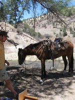 Canon PowerShot A590 IS, 2009:04:20 13:07:53 -- 1/320 sec, f/4.0.  No Flash, Auto.3264x2448 Red-Eye Reduction (Auto).