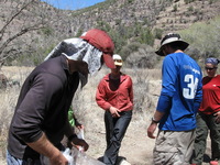 Canon PowerShot A590 IS, 2009:04:20 13:44:37 -- 1/500 sec, f/4.0.  No Flash, Auto.3264x2448 Red-Eye Reduction (Auto).