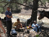 Canon PowerShot A590 IS, 2009:04:20 13:44:57 -- 1/250 sec, f/4.0.  No Flash, Auto.3264x2448 Red-Eye Reduction (Auto).