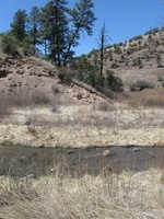 Canon PowerShot A590 IS, 2009:04:20 13:45:16 -- 1/640 sec, f/4.0.  No Flash, Auto.3264x2448 Red-Eye Reduction (Auto).