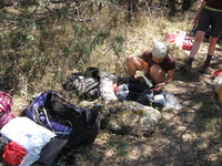 Canon PowerShot A590 IS, 2009:04:20 13:46:21 -- 1/100 sec, f/4.0.  No Flash, Auto.3264x2448 Red-Eye Reduction (Auto).