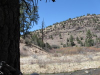 Canon PowerShot A590 IS, 2009:04:20 13:47:38 -- 1/500 sec, f/4.0.  No Flash, Auto.3264x2448 Red-Eye Reduction (Auto).