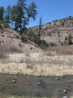 Canon PowerShot A590 IS, 2009:04:20 13:47:56 -- 1/500 sec, f/4.0.  No Flash, Auto.3264x2448 Red-Eye Reduction (Auto).