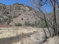 Canon PowerShot A590 IS, 2009:04:20 13:48:04 -- 1/640 sec, f/4.0.  No Flash, Auto.3264x2448 Red-Eye Reduction (Auto).