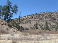 Canon PowerShot A590 IS, 2009:04:20 13:48:09 -- 1/500 sec, f/4.0.  No Flash, Auto.3264x2448 Red-Eye Reduction (Auto).