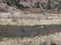 Canon PowerShot A590 IS, 2009:04:20 13:48:12 -- 1/640 sec, f/4.0.  No Flash, Auto.3264x2448 Red-Eye Reduction (Auto).