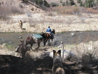 Canon PowerShot A590 IS, 2009:04:20 13:57:03 -- 1/400 sec, f/4.0.  No Flash, Auto.3264x2448 Red-Eye Reduction (Auto).