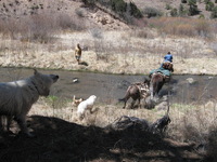 Canon PowerShot A590 IS, 2009:04:20 13:57:08 -- 1/500 sec, f/4.0.  No Flash, Auto.3264x2448 Red-Eye Reduction (Auto).