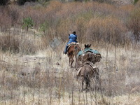 Canon PowerShot A590 IS, 2009:04:20 13:57:20 -- 1/320 sec, f/5.5.  No Flash, Auto.3264x2448 Red-Eye Reduction (Auto).