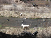 Canon PowerShot A590 IS, 2009:04:20 13:57:26 -- 1/640 sec, f/4.0.  No Flash, Auto.3264x2448 Red-Eye Reduction (Auto).