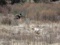 Canon PowerShot A590 IS, 2009:04:20 13:57:35 -- 1/320 sec, f/5.5.  No Flash, Auto.3264x2448 Red-Eye Reduction (Auto).