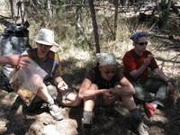 Canon PowerShot A590 IS, 2009:04:20 14:00:31 -- 1/100 sec, f/4.0.  No Flash, Auto.3264x2448 Red-Eye Reduction (Auto).