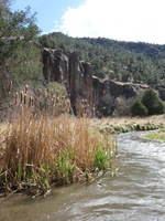 Canon PowerShot A590 IS, 2009:04:20 16:27:42 -- 1/320 sec, f/4.0.  No Flash, Auto.3264x2448 Red-Eye Reduction (Auto).