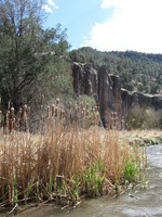 Canon PowerShot A590 IS, 2009:04:20 16:27:44 -- 1/250 sec, f/4.0.  No Flash, Auto.3264x2448 Red-Eye Reduction (Auto).