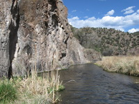 Canon PowerShot A590 IS, 2009:04:20 16:28:00 -- 1/800 sec, f/4.0.  No Flash, Auto.3264x2448 Red-Eye Reduction (Auto).