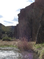 Canon PowerShot A590 IS, 2009:04:20 16:28:11 -- 1/800 sec, f/4.0.  No Flash, Auto.3264x2448 Red-Eye Reduction (Auto).