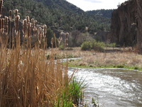 Canon PowerShot A590 IS, 2009:04:20 16:28:43 -- 1/500 sec, f/4.0.  No Flash, Auto.3264x2448 Red-Eye Reduction (Auto).