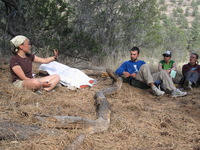 Canon PowerShot A590 IS, 2009:04:20 17:20:08 -- 1/80 sec, f/4.0.  No Flash, Auto.3264x2448 Red-Eye Reduction (Auto).