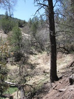 Canon PowerShot A590 IS, 2009:04:21 11:42:11 -- 1/320 sec, f/4.0.  No Flash, Auto.3264x2448 Red-Eye Reduction (Auto).