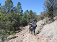 Canon PowerShot A590 IS, 2009:04:21 11:44:44 -- 1/400 sec, f/4.0.  No Flash, Auto.3264x2448 Red-Eye Reduction (Auto).