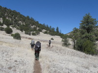 Canon PowerShot A590 IS, 2009:04:21 12:01:25 -- 1/1000 sec, f/4.0.  No Flash, Auto.3264x2448 Red-Eye Reduction (Auto).