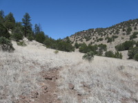 Canon PowerShot A590 IS, 2009:04:21 12:04:49 -- 1/1000 sec, f/4.0.  No Flash, Auto.3264x2448 Red-Eye Reduction (Auto).