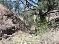 Canon PowerShot A590 IS, 2009:04:21 13:19:06 -- 1/320 sec, f/4.0.  No Flash, Auto.3264x2448 Red-Eye Reduction (Auto).