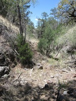 Canon PowerShot A590 IS, 2009:04:21 13:19:50 -- 1/400 sec, f/4.0.  No Flash, Auto.3264x2448 Red-Eye Reduction (Auto).