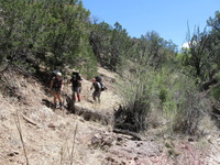 Canon PowerShot A590 IS, 2009:04:21 13:28:04 -- 1/400 sec, f/4.0.  No Flash, Auto.3264x2448 Red-Eye Reduction (Auto).