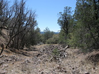 Canon PowerShot A590 IS, 2009:04:21 13:37:09 -- 1/640 sec, f/4.0.  No Flash, Auto.3264x2448 Red-Eye Reduction (Auto).