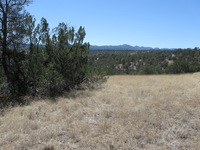 Canon PowerShot A590 IS, 2009:04:21 14:01:18 -- 1/640 sec, f/4.0.  No Flash, Auto.3264x2448 Red-Eye Reduction (Auto).