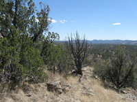 Canon PowerShot A590 IS, 2009:04:21 14:39:14 -- 1/640 sec, f/4.0.  No Flash, Auto.3264x2448 Red-Eye Reduction (Auto).