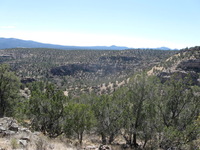 Canon PowerShot A590 IS, 2009:04:21 14:39:20 -- 1/400 sec, f/4.0.  No Flash, Auto.3264x2448 Red-Eye Reduction (Auto).