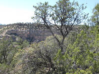 Canon PowerShot A590 IS, 2009:04:21 14:39:25 -- 1/250 sec, f/4.0.  No Flash, Auto.3264x2448 Red-Eye Reduction (Auto).