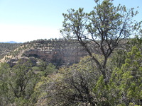 Canon PowerShot A590 IS, 2009:04:21 14:39:27 -- 1/250 sec, f/4.0.  No Flash, Auto.3264x2448 Red-Eye Reduction (Auto).