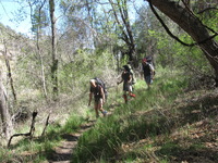 Canon PowerShot A590 IS, 2009:04:21 16:00:11 -- 1/160 sec, f/4.0.  No Flash, Auto.3264x2448 Red-Eye Reduction (Auto).