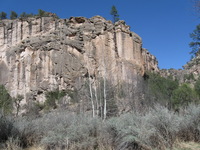 Canon PowerShot A590 IS, 2009:04:21 16:02:22 -- 1/800 sec, f/4.0.  No Flash, Auto.3264x2448 Red-Eye Reduction (Auto).