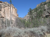 Canon PowerShot A590 IS, 2009:04:21 16:02:35 -- 1/500 sec, f/4.0.  No Flash, Auto.3264x2448 Red-Eye Reduction (Auto).