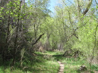 Canon PowerShot A590 IS, 2009:04:21 16:03:37 -- 1/160 sec, f/4.0.  No Flash, Auto.3264x2448 Red-Eye Reduction (Auto).