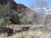 Canon PowerShot A590 IS, 2009:04:21 16:08:43 -- 1/250 sec, f/4.0.  No Flash, Auto.3264x2448 Red-Eye Reduction (Auto).