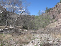 Canon PowerShot A590 IS, 2009:04:21 16:08:47 -- 1/500 sec, f/4.0.  No Flash, Auto.3264x2448 Red-Eye Reduction (Auto).